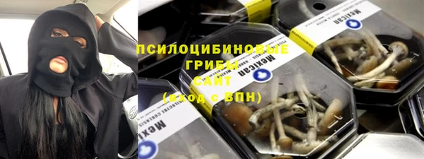 ПСИЛОЦИБИНОВЫЕ ГРИБЫ Сосновка