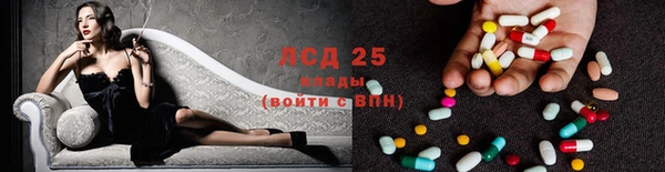 PSILOCYBIN Зерноград