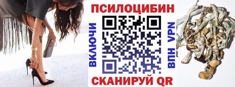 Псилоцибиновые грибы мухоморы  гидра зеркало  Спас-Клепики 